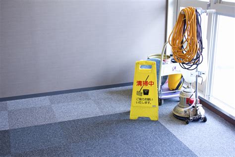 Your Dirty Carpets Might Be Making You Sick. Professional Carpet Cleaning Can Help