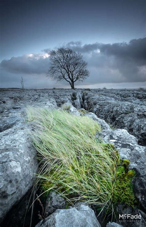 Return to the Land – Yorkshire Landscapes… – McFade Photography Blog