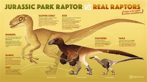 Deinonychus Size Comparison