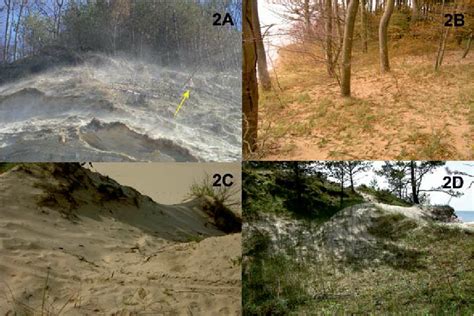 Aeolian processes and landforms on the bluff. A – Sand transport ...