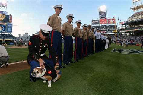 File:US Navy 040415-N-9421C-104 A U.S. Marine fixes the uniform on the Marine Corps bulldog ...