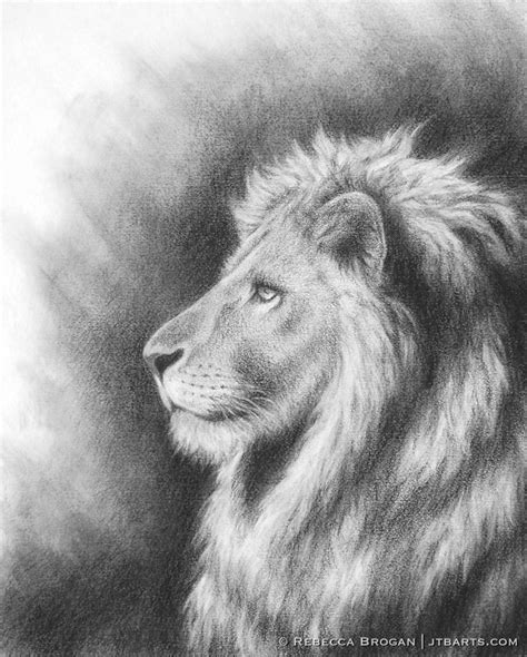 The Lion of Judah Reigns – John The Baptist Artworks