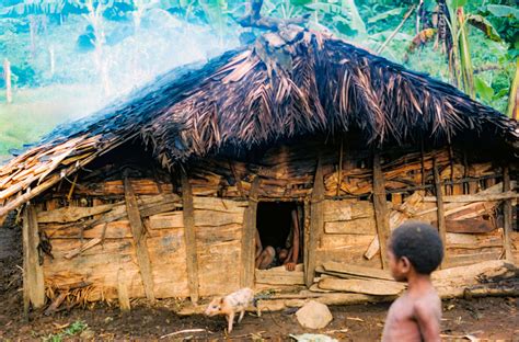 Papua New Guinea, Pig House, 1983 : Jeff Shea