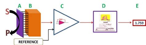 Biosensor - Principle, Components, Types & Their Applications