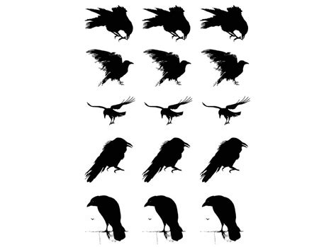 Murder of Crows 15 pcs 1" Black Fused Glass Decals – Captive Decals