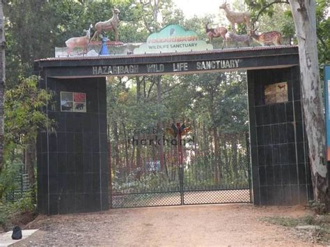 Hazaribagh National Park - Alchetron, the free social encyclopedia