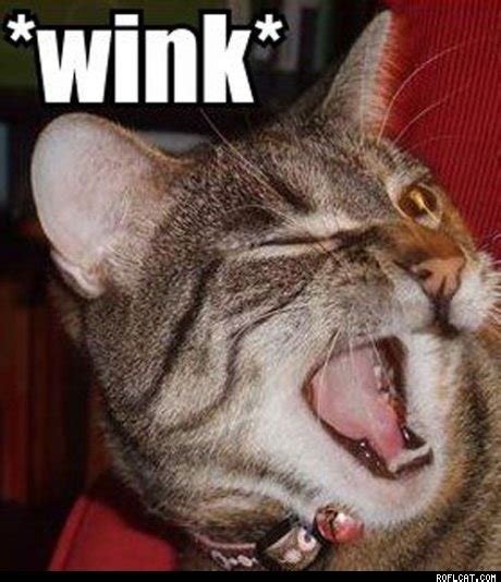 168 best Winks & Eyes images on Pinterest