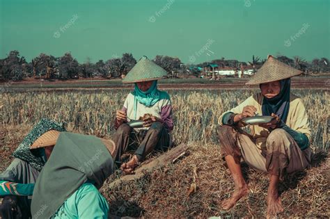 Premium Photo | Farmers planting rice