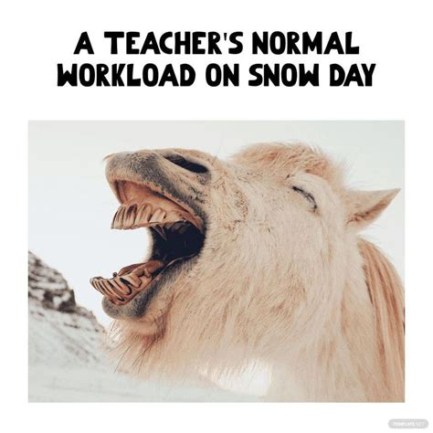 Teacher's Day Snow Meme in JPG - Download | Template.net