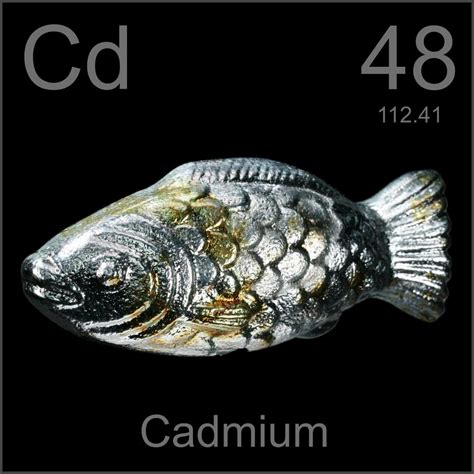 Fish, a sample of the element Cadmium in the Periodic Table