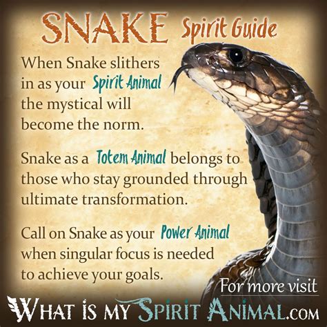 Snake Symbolism & Meaning | Spirit, Totem & Power Animal