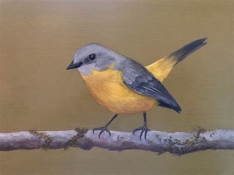 Eastern Yellow Robin - Fitzroy Painting