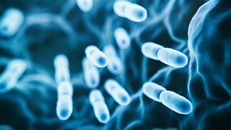 Genetic analysis could answer vital questions about Legionella bacteria