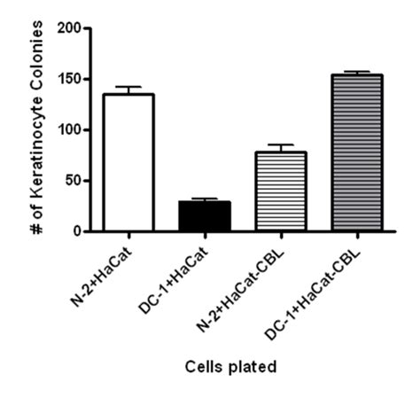 HaCaT cells from different sources exhibit differential growth in ...