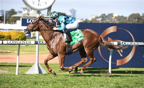 Coolmore Stud Stakes Free Tips, Bets and Field Preview – 2020 | Just Racing