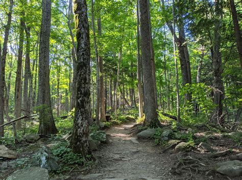 Rainbow Falls Trail - Trails Near Me