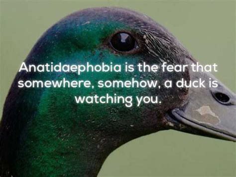 23 Weird Facts That Will Make You Feel Uncomfortable | KLYKER.COM