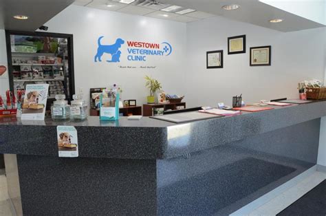 Clinic Tour | Westown Veterinary Clinic