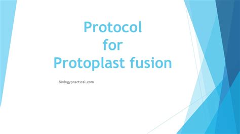 Protocol for Protoplast fusion - Online Biology Notes