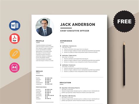 Free Chief Executive Officer (CEO) Resume Template with Simple Look