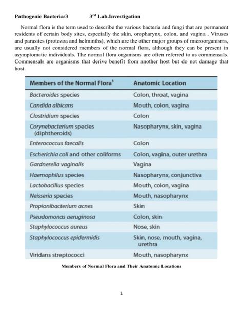 Pathogenic Bacteria3