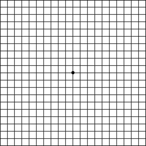 Amsler Grid Chart Printable