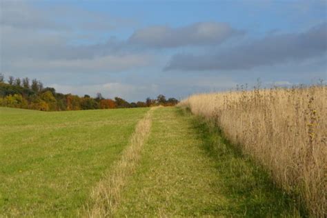 Dog walk at Gog Magog Hills · Cambridgeshire · Walkiees