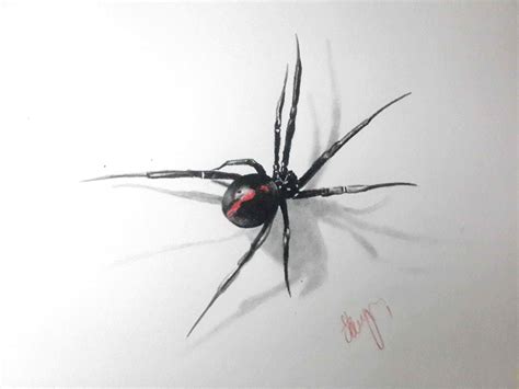 Realistic Black Widow Spider Drawing