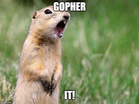 gopher - Imgflip