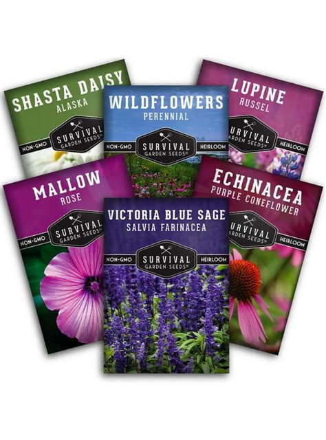 Wildflower Mix Flower Seeds in Seed Gardening - Walmart.com