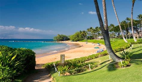 Ulua Beach in Maui - Hawaiian Planner