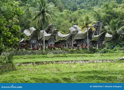 Traditional Houses and Rice Barns in Tana Toraja, South Sulawesi ...