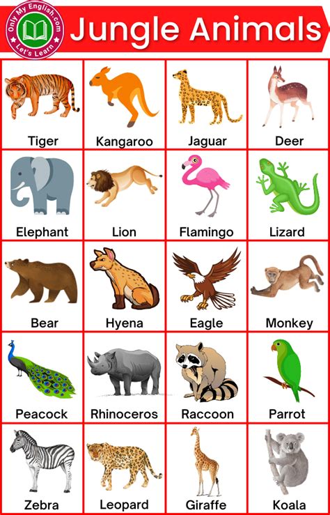 30+ Jungle Animals List with Pictures » Onlymyenglish.com in 2023 | Jungle animals, Animal study ...