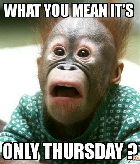 What you mean it's only Thursday???