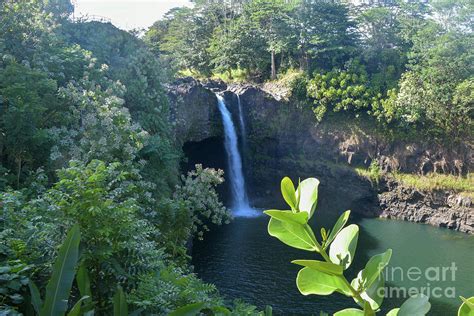 Rainbow Falls Hilo Photograph by Tony Porter - Fine Art America