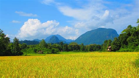 图片素材 : 景观, 性质, 天空, 领域, 农场, 草地, 草原, 爬坡道, 花, 谷, 山脉, 牧场, 农业, 平原, 高原, 栖息地 ...