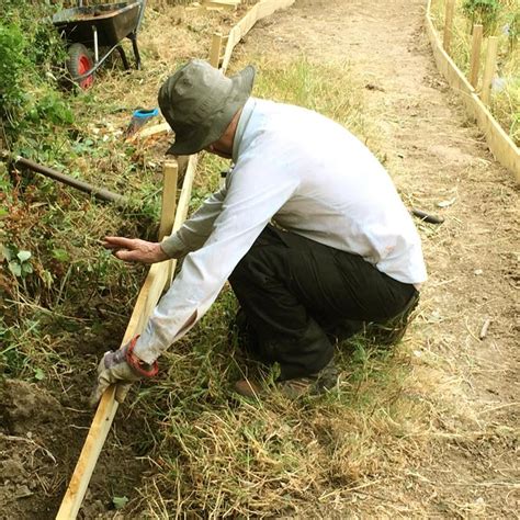 August 2022 ~ Hosehill Lake, Theale ~ Path maintenance