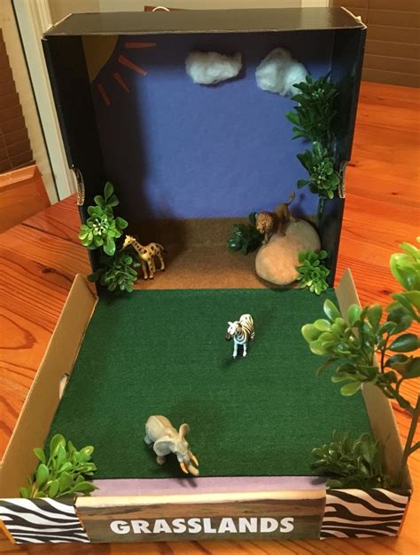 Grasslands Ecosystem Diorama/Model 3rd Grade Project | ABC's & 123's! | Ecosystems projects ...