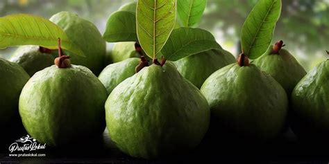 Bayabas (Guava): Mga Nakakabilib na Health Benefits. Alamin! (with ...