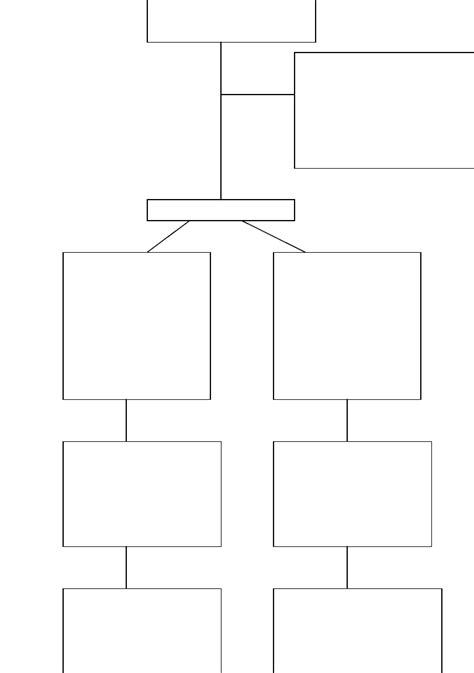 Consort Diagram Template