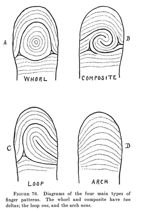 “No Two Finger Prints Are Alike” – Fingerprinting in the Modern World