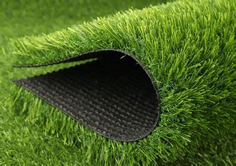 Real Grass vs Artificial Grass a Difference Guide