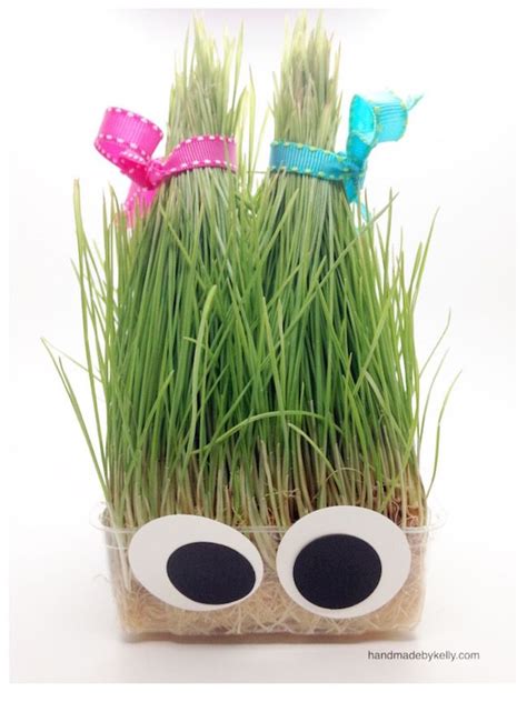 5-minute DIY Silly Grass Head Craft | Crafts, Kids art projects, Diy