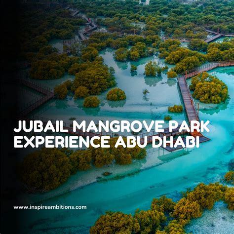 Mangroves Park in Abu Dhabi - A Natural Haven for Wildlife and Visitors ...