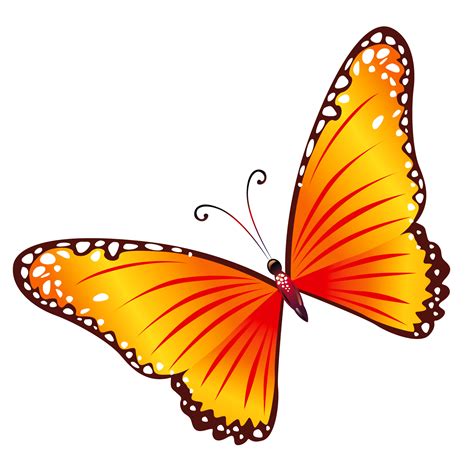 Butterfly Clipart Transparent HQ PNG Download | FreePNGImg