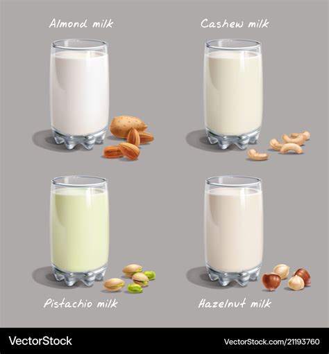 Different types non-dairy milk vegan nut-milk Vector Image