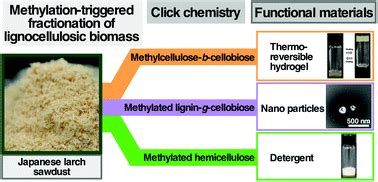 Hemicellulose Function