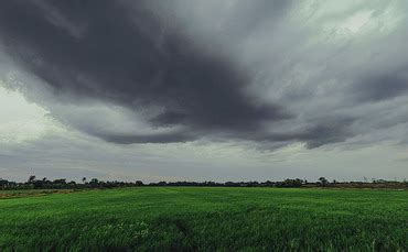 Top tips for farmers as Storm Agnes to bring gusts of up to 75mph | Farm News | Farmers Guardian