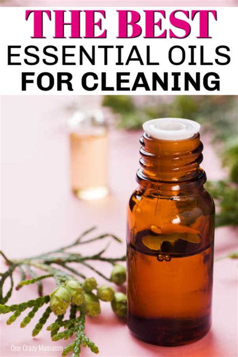 Essential oils for cleaning - best essential oils for cleaning and ...