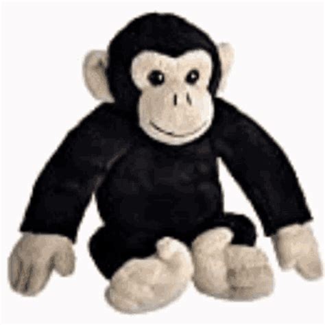 Monkey PFP GIF